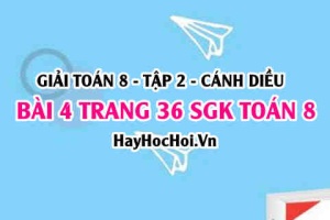 Bài 4 trang 36 Toán 8 Tập 2 Cánh Diều